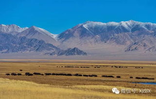 人人操色播基地